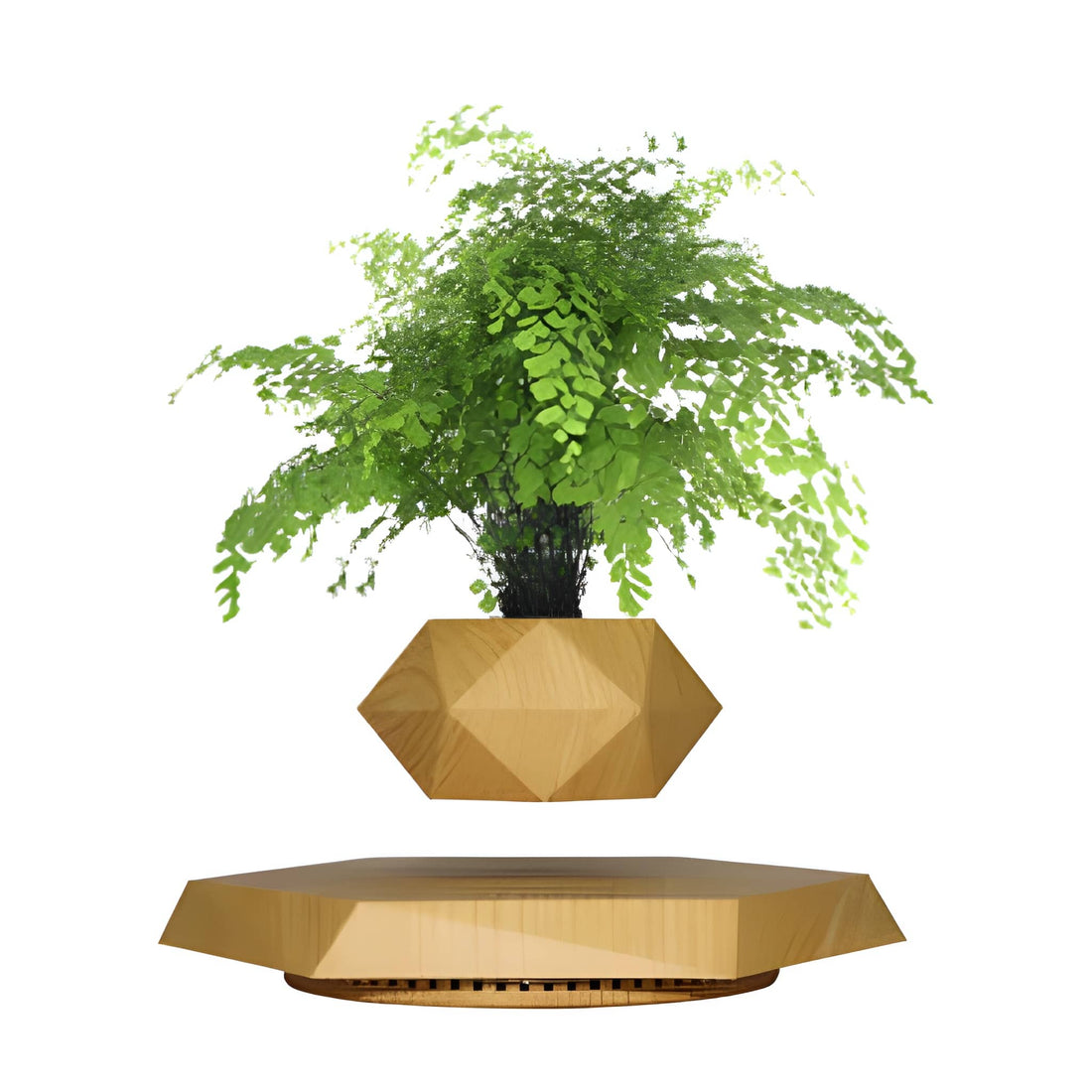 Levitating - Bonsai Planter Pot