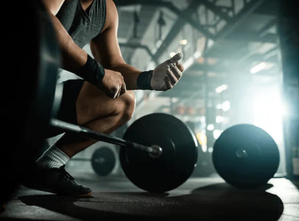 Zion Labs Omega-3 Fish Oil (Original) – Essential Fatty Acids for Wellness | Hala Grace